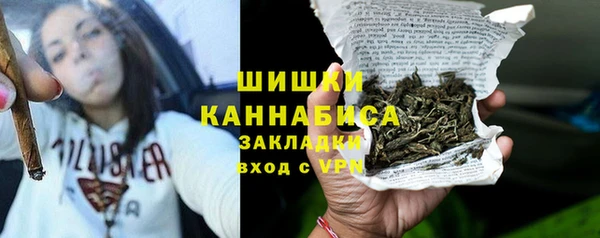 прущая мука Вяземский