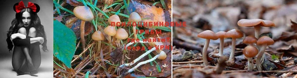 прущий лед Володарск